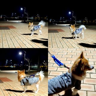 림림님이 올린 리뷰 사진 1