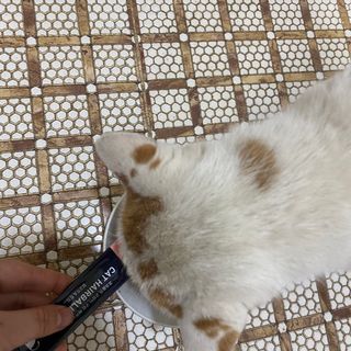 코코몰리 고양이 구강• 헤어볼 데일리 /신장• 요로 데일리 — 4.5점을 준 리뷰어가 2021년 1월 올린 사용 사진