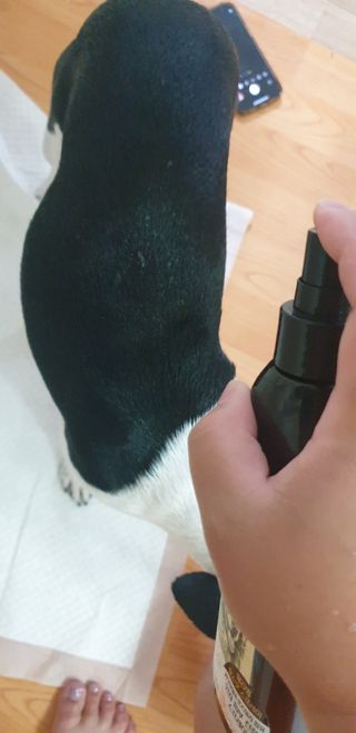 jeinok님이 올린 리뷰 사진 3