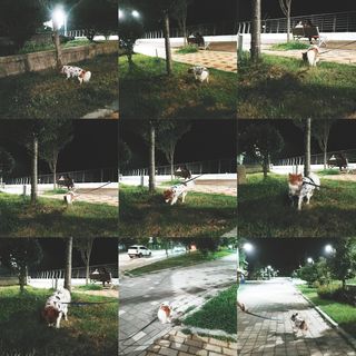 림림님이 올린 리뷰 사진 2