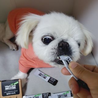 mini unni님이 올린 리뷰 사진 3