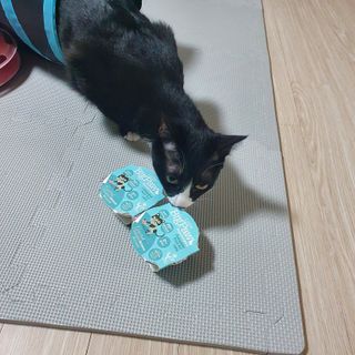 김금비님이 올린 리뷰 사진 3