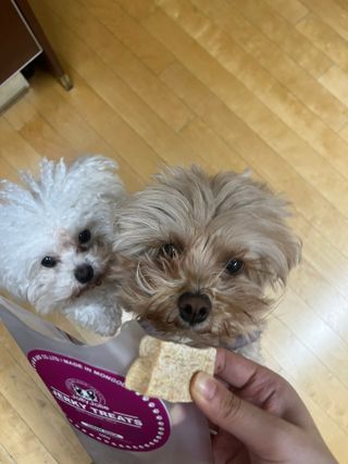 예나김님이 올린 리뷰 사진 2