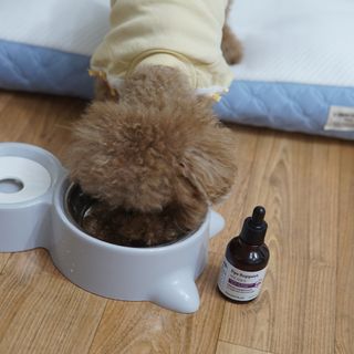 꽃양뿌니님이 올린 리뷰 사진 3