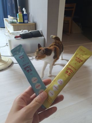 쮸동비님이 올린 리뷰 사진 3