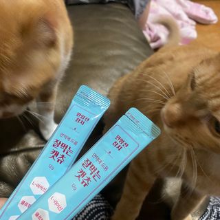 페페로니 잘 먹는 캣츄 - 원양선 참치 24개입 — 5점을 준 리뷰어가 2021년 10월 올린 사용 사진