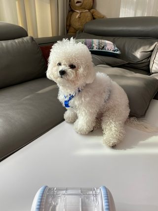 긍정미뇽님이 올린 리뷰 사진 1