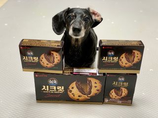 콩이누나님이 올린 리뷰 사진 2