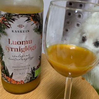 H365 [Kaskein Luomutyrniglögi] 핀란드 전통 무알콜 멀드와인 시벅톤 글로기 — 5점을 준 리뷰어가 2021년 5월 올린 사용 사진