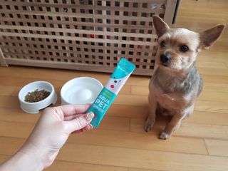 펫시랩 반려견용 액상 프리바이오틱스 아쿠아펫 — 5점을 준 리뷰어가 2021년 2월 올린 사용 사진