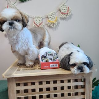 꽃단이님이 올린 리뷰 사진 3