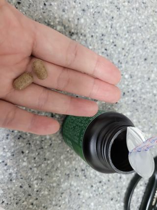 슬림플래닛 녹차카테킨 500mg 애프터밀 — 5점을 준 리뷰어가 2021년 9월 올린 사용 사진