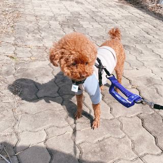 조이님이 올린 리뷰 사진 4