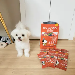 [푸디웜] 라포그  리얼인섹트 관절 저알러지 강아지 사료  1.2KG — 5점을 준 리뷰어가 2022년 8월 올린 사용 사진