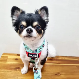 빵갱님이 올린 리뷰 사진 1