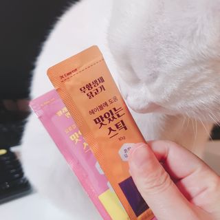 페페로니 맛있는 스틱 - 무항생제 닭고기 15개 + 알래스카 연어 15개 — 5점을 준 리뷰어가 2021년 8월 올린 사용 사진