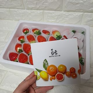 옳음 딸기 논산 설향 딸기 900g 산지직송 — 5점을 준 리뷰어가 2021년 1월 올린 사용 사진