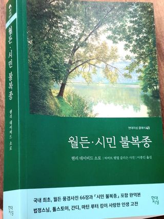 mireest님이 올린 리뷰 사진 1
