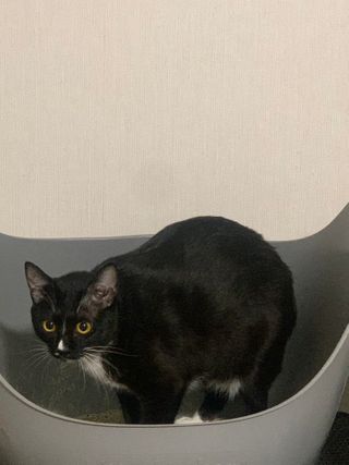랑이님이 올린 리뷰 사진 1