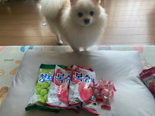 청포도캔디 복숭아캔디 — 5점을 준 리뷰어가 2022년 11월 올린 사용 사진