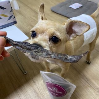 세지니힛님이 올린 리뷰 사진 3