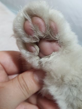 씨고님이 올린 리뷰 사진 4