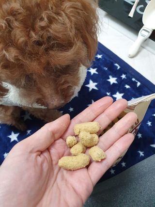 희야님이 올린 리뷰 사진 3