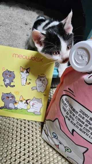 🎀딸 ♥️랑 🔆구🍭님이 올린 리뷰 사진 3