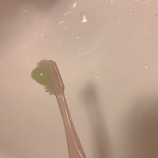 siesta님이 올린 리뷰 사진 2