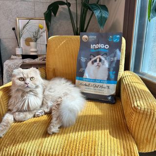 Hee ji님이 올린 리뷰 사진 1