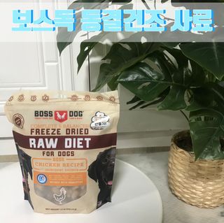 [보장균수500만] 건강한장 프로젝트 강아지사료 보스독 프로바이오틱스 340.19g 2종 — 5점을 준 리뷰어가 2021년 1월 올린 사용 사진
