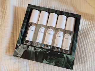 디어포레스트 [5개세트] 숲속의 하루 패브릭미스트 (섬유향수/ 룸스프레이) 50ml 5개 — 5점을 준 리뷰어가 2022년 10월 올린 사용 사진