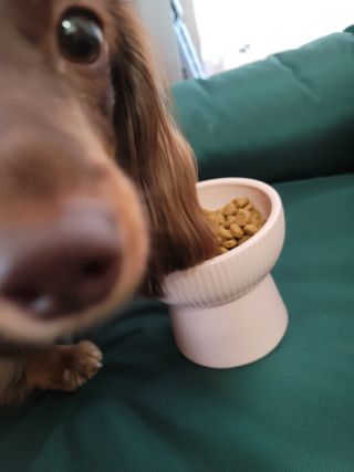 llalla님이 올린 리뷰 사진 3