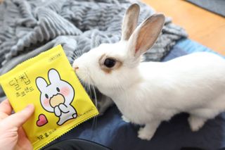 유지니엘님이 올린 리뷰 사진 1