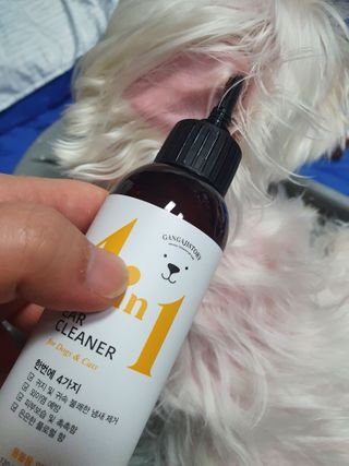마이쭈님이 올린 리뷰 사진 3