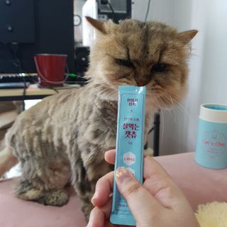 페페로니 잘 먹는 캣츄 - 원양선 참치 24개입 — 5점을 준 리뷰어가 2021년 8월 올린 사용 사진