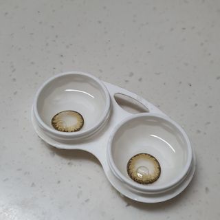 신오리님이 올린 리뷰 사진 2