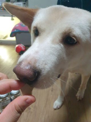 5냥2멍님이 올린 리뷰 사진 2