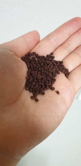 꼬물이님이 올린 리뷰 사진 3