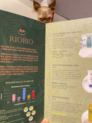 몽실이님이 올린 리뷰 사진 2
