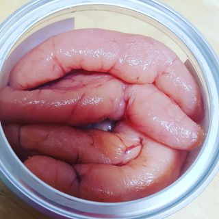 김고양이님이 올린 리뷰 사진 2