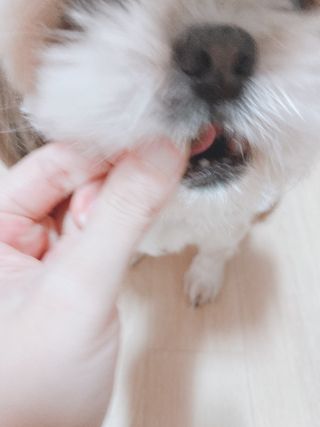 박하님이 올린 리뷰 사진 3