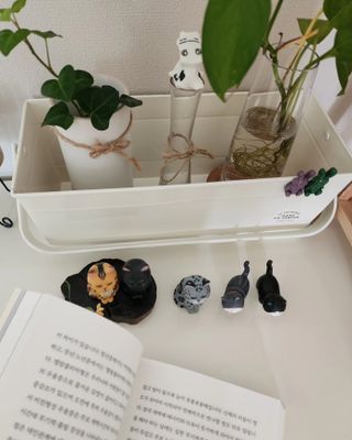 딸기맘님이 올린 리뷰 사진 4