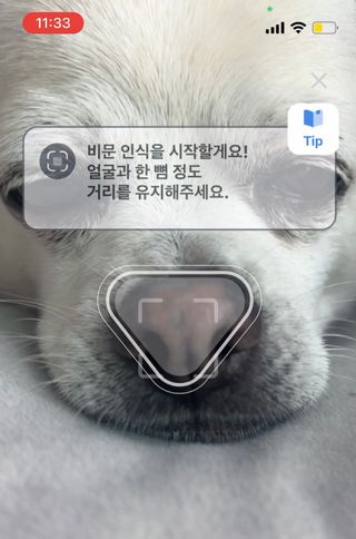 띵가띵가님이 올린 리뷰 사진 2