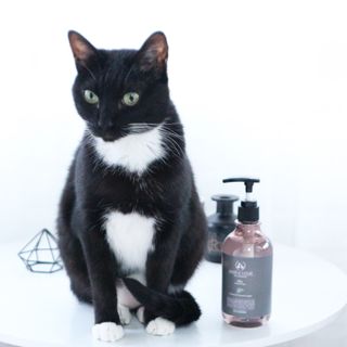 마리앤루이펫샴푸 [mari and louie pet shampoo] — 4.5점을 준 리뷰어가 2021년 6월 올린 사용 사진