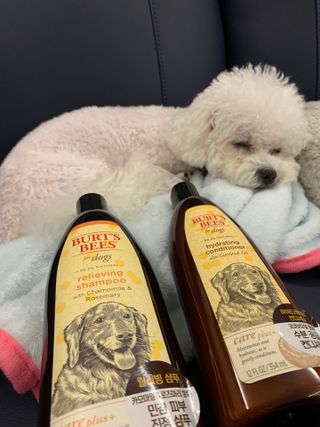 큐티윤님이 올린 리뷰 사진 1