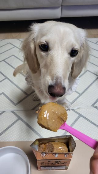 PDKIM님이 올린 리뷰 사진 3