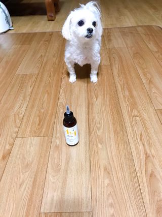 뾰로롱꼬마마녀님이 올린 리뷰 사진 3