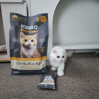 쭌뭉님이 올린 리뷰 사진 1