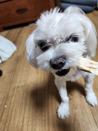 푸카푸카님이 올린 리뷰 사진 3
